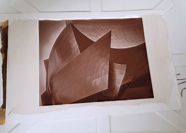 Platinum-Paladium prints